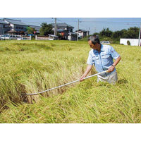 浅野木工所 稲起こし棒 アルミパイプ 35200 1個（直送品）