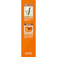 なた豆 すっきり渋柿 歯磨き粉 口臭・歯周病予防 140g 1本 三和通商