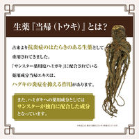 当帰の力 薬用 塩ハミガキ 85g×2本 サンスター 歯磨き粉 生薬 当帰 とうき 塩 口臭 ねばつき 歯槽膿漏 歯肉炎 歯周病 虫歯