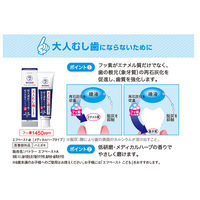 BUTLER(バトラー) エフペースト α(アルファ) 90g×2本 高濃度フッ素 1450ppm 配合 口臭 虫歯 歯周病予防 低研磨性