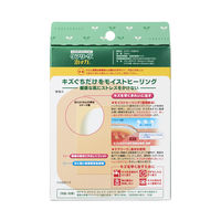 ニチバン 家庭用創傷パッド 救急絆創膏 ケアリーヴ 治す力 ジャンボサイズ 80mm×100mm CN4J 1箱（4枚入）
