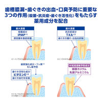 デントヘルスハミガキしみるブロック 85g 1セット（2本） ライオン 歯磨き粉 歯周病予防