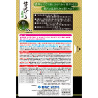 いい湯旅立ち 贅沢にごり炭酸湯 煌の宿 1セット（12錠入×2箱） 白元アース