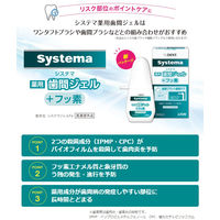 歯科医院取扱品 DENT.systema(デントシステマ) 薬用歯間ジェル 20mL 1セット（2本） ライオン(LION) 歯磨き粉