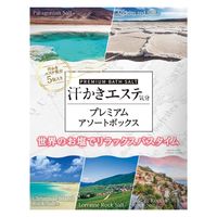 汗かきエステ気分 プレミアムアソート 1セット（500g：45g×5種×2個）マックス 入浴剤 バスソルト 温活