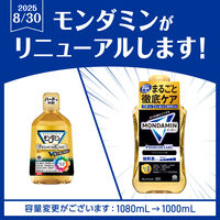 マウスウォッシュ 洗口液 口臭 モンダミン プレミアムケア ブラックミント 1000mL 強刺激タイプ 口臭対策 アース製薬