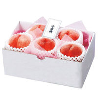 【お中元ギフト・のし付き】山梨の桃［5～6玉］　fw-ym1.4kg　1個（直送品）