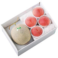 【お中元ギフト・のし付き】アデリー　北海道メロンと桃　HMM-14　1個（直送品）