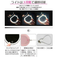 富士パックス販売 LEDライト付コンパクトミラー FP-385 1セット(2個入)（直送品）