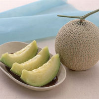 【お中元ギフト・のし付き】マスクメロン［1玉］　fw-mm1.5-1　1個（直送品）