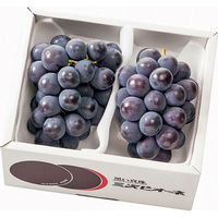 【お中元ギフト・のし付き】広島三次ピオーネ　HMP-2-400　1個（直送品）