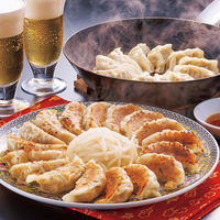 【お中元ギフト・のし付き】アイエスワイ　静岡Ｂ級グルメ浜松餃子45粒　HG-30　1個（直送品）