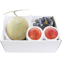 【お中元ギフト・のし付き】夏の旬果詰合せ　Ａ　AMPH-F0S-N　1個（直送品）