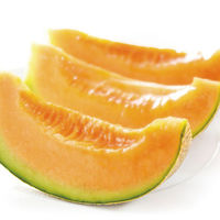 【お中元ギフト・のし付き】北海道らいでんメロン（赤肉）　HRMA28　1個（直送品）