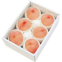 【お中元ギフト・のし付き】和歌山あら川の桃　ARKM-E0S　1個（直送品）