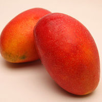 【お中元ギフト・のし付き】台湾産　アップルマンゴー［1ｋｇ］　bf-tm1kg　1個（直送品）