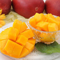 【お中元ギフト・のし付き】宮崎マンゴー　fw-mym700　1個（直送品）