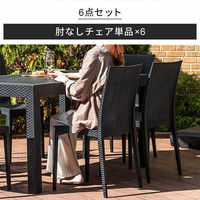 三栄コーポレーション 屋外設置、水洗い可能 ラタン調ガーデンチェア　肘無し6脚セット A1--PYXCHR6S_AS　１セット(６脚）（直送品）