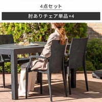 三栄コーポレーション 屋外設置、水洗い可能 ラタン調ガーデンチェア 肘付き4脚セット A1--PYXARMCHR4S_AS　１セット(４脚）（直送品）