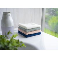 オカ ミニタオル カララカ 25×25cm グリーン 384375 1個（直送品）