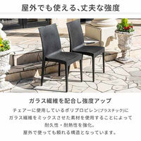 三栄コーポレーション 屋外設置、水洗い可能 ラタン調ガーデンテーブル・肘無しチェア 5点セット A1--PYX80TBL5S_AS 1セット（直送品）