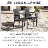 三栄コーポレーション 屋外設置、水洗い可能 ラタン調ガーデンテーブル・肘付きチェア　7点セット A1--PYXARM150TBL7_AS（直送品）