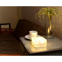 YAMAZEN LEDガーデンブリツクソーラーライト WLL-1027(GD)* 1台