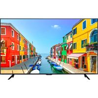 【設置込】アイリスオーヤマ LUCA 4Kチューナー内蔵液晶テレビ 65インチ LT-65D6210B 1台（直送品）