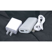 ドウシシャ ウェアラブルヒーターベスト BK WHW-V03 1着（直送品）