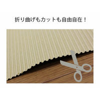 ロジマート 巻きダンボール 1200×50M【NO6】5本 クラフトKA50g 3008141 1セット（直送品）