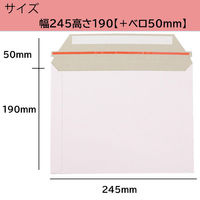 ロジマート レターケース DVDサイズ【NO2】400枚 310053 1セット（直送品）