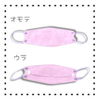 カンテック ライトグレー 1800枚入 17750gray 1箱(30枚×60箱)（直送品）