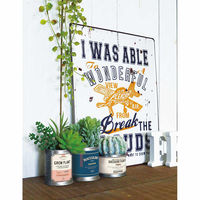 ケーアイジャパン フェイクグリーン TINサキュレント 光触媒 ボール 394827 1個（直送品）