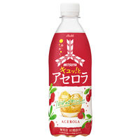 アサヒ飲料 三ツ矢キュッ！とアセロラ 500ml 1セット（48本）