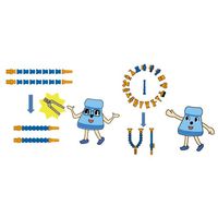 エスコ 1/2”/ 6.3mm穴 クーラントノズル(2個) EA991EN-6A 1セット(30個:2個×15袋)（直送品）