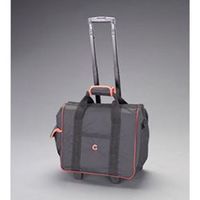 エスコ DC14.4V(1/2”DR) インパクトレンチセット(充電式) EA813PD-101B 1セット(1St)（直送品）