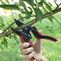 高儀 TAKAGI ハイパワー楽切り！フッ素刃ラチェット式剪定鋏200mm GRS-03H 4907052712584 1セット（3個）（直送品）