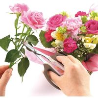 高儀 TAKAGI 本刃付ステンレス芽切小枝切鋏 160mm 4907052713475 1セット（2個）（直送品）