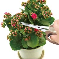 高儀 TAKAGI 本刃付ステンレスロング芽切小枝切鋏 190mm 4907052713482 1セット（2個）（直送品）