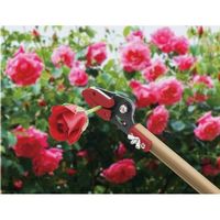 高儀 TAKAGI 軽量ロング鋏 剪定刃0.6m 4907052717886 1セット（2個）（直送品）