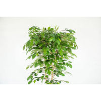 岩や 人工樹木／人工観葉植物　ベンジャミン A-0004 1個（直送品）