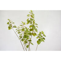 岩や 人工樹木／人工観葉植物　スモークツリー A-0008 1個（直送品）