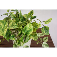 岩や 人工樹木／人工観葉植物　ポトス A-0012 1個（直送品）