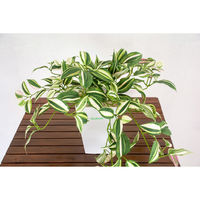 岩や 人工樹木／人工観葉植物　ワンダーリング A-0013 1個（直送品）