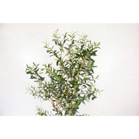 岩や 人工樹木／人工観葉植物　オリーブ　１６０ｃｍ A-0029 1個（直送品）