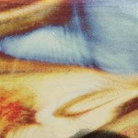 ＳＨＡＲＥＹＤＶＡ転写箔 コスミッククール108965 (直送品)    1個（直送品）