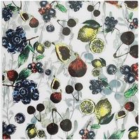 ＳＨＡＲＥＹＤＶＡ転写フィルム フルーツ×ボタニカル117507 (直送品)    1個（直送品）