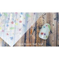 ＳＨＡＲＥＹＤＶＡ ネイルシール ドライフラワー78910 (直送品)   1個（直送品）