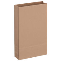 「現場のチカラ」 フラップなし宅配袋（紙製） 茶 特小サイズ 封かんシールなし  1セット（50枚：10枚入×5）  オリジナル