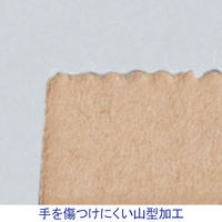 「現場のチカラ」 フラップなし宅配袋（紙製） 茶 小マチ広サイズ 封かんシールなし  1セット（50枚：10枚入×5）  オリジナル